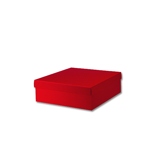 Scatola regalo in cartone seta rossa mm. 380X260X110