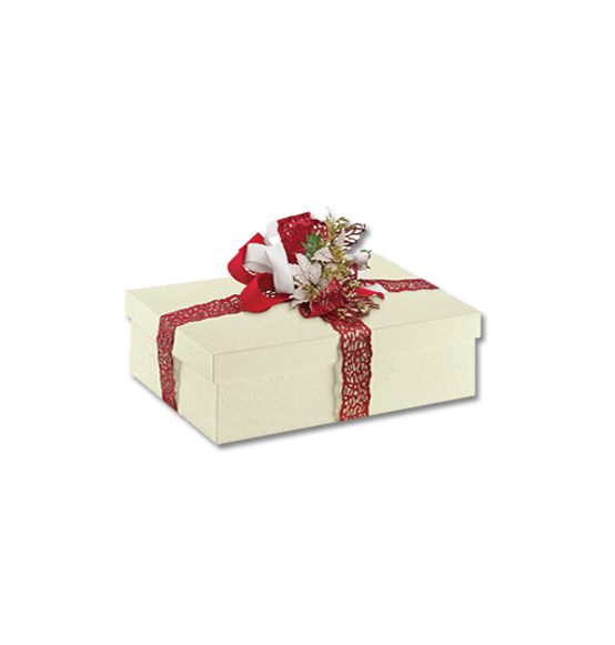 Scatola regalo in cartone sorgente mm. 240x170x100