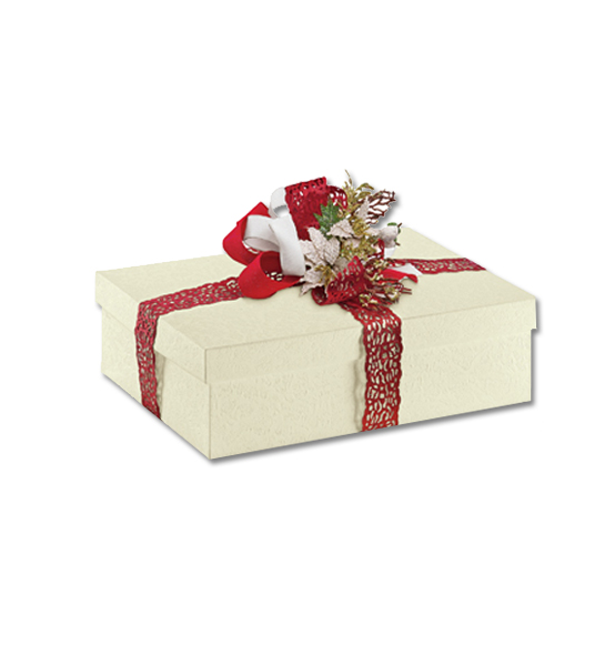 Scatola regalo in cartone sorgente mm. 380X260X110