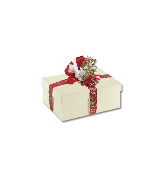 Scatola regalo in cartone sorgente mm. 165X165X110