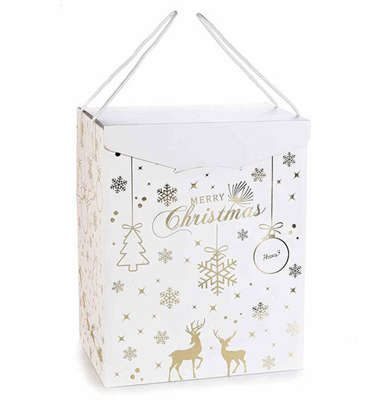 5Pz. Scatola regalo bianca con stampa natalizia dorata e manici cm. 28x20x35H