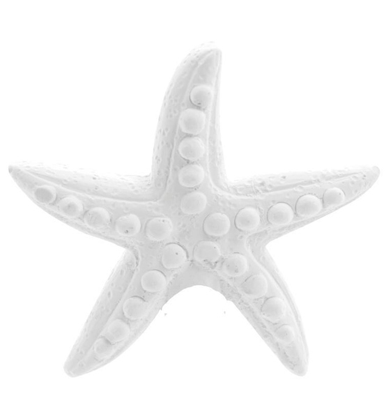 24Pz Decorazione in gesso stella marina per bomboniere cm 7x7